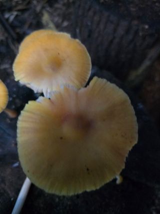 김성환님의 자유주제 · 자유게시판 작성글 사진