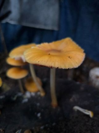 김성환님의 자유주제 · 자유게시판 작성글 사진