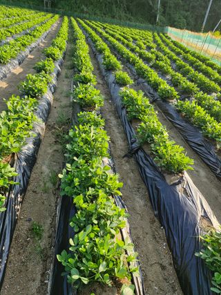 !정의규님의 자유주제 · 자유게시판 작성글 사진