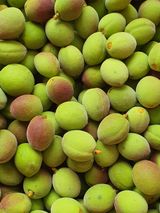 팜모닝 자유주제·자유게시판 게시글 이미지