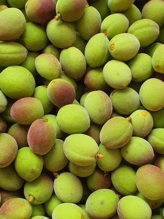 하나라도 소중하게님의 자유주제 · 자유게시판 작성글 사진