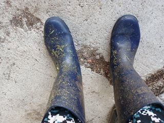 알 수 없음님의 자유주제 · 자유게시판 작성글 사진