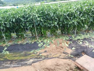 이창우님의 자유주제 · 자유게시판 작성글 사진