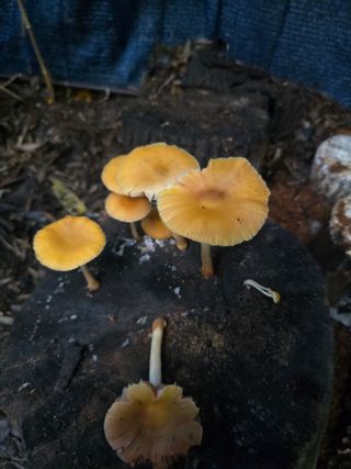 김성환님의 자유주제 · 자유게시판 작성글 사진