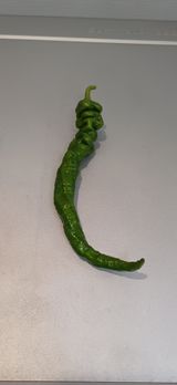 팜모닝 자유주제·자유게시판 게시글 이미지