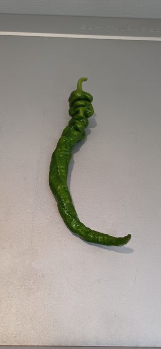 이강재님의 자유주제 · 자유게시판 작성글 사진