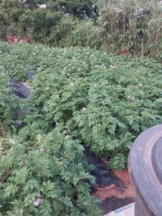 순덕님의 자유주제 · 자유게시판 작성글 사진