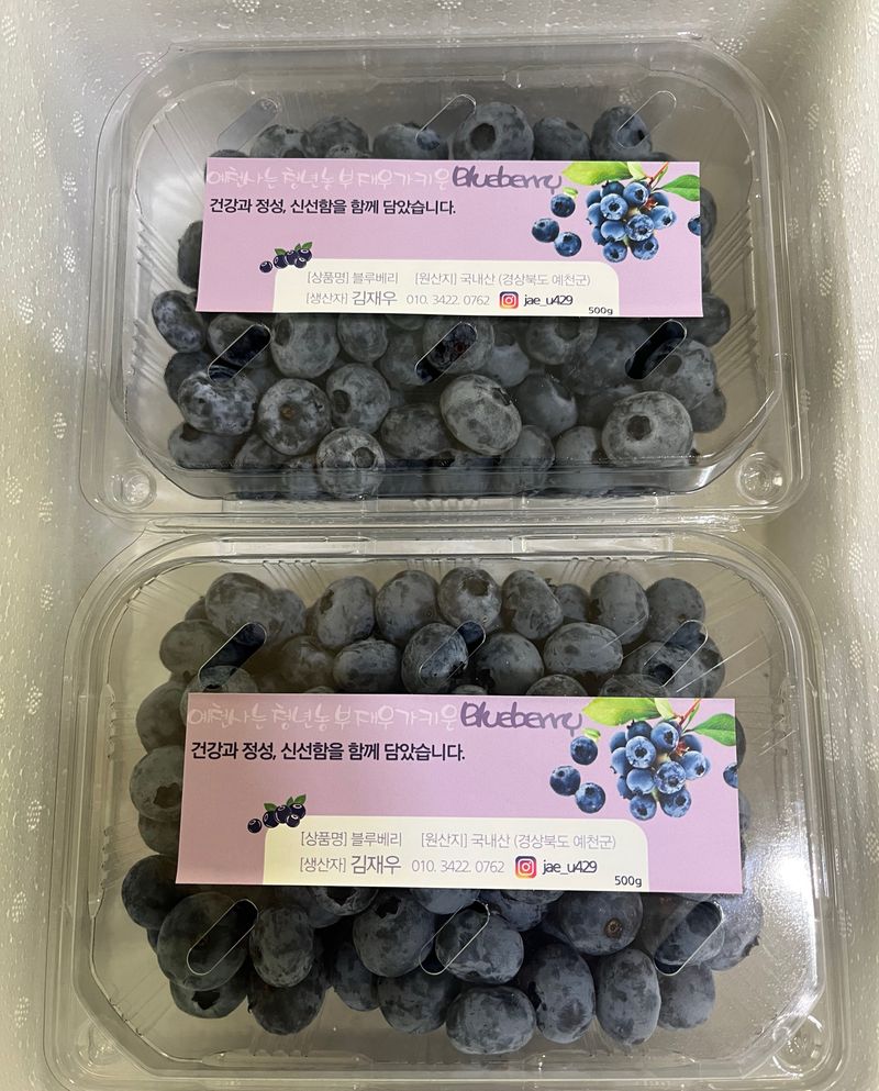 장터 상품 [25년 블루베리 판매합니다(판매완료)] 썸네일