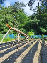 팜모닝 자유주제·자유게시판 게시글 이미지