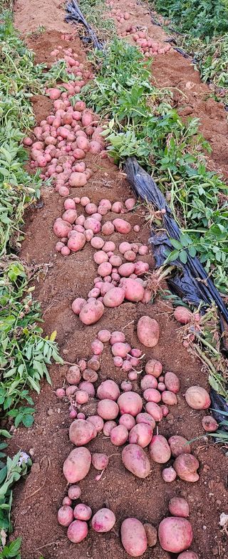 프로님의 작성글 사진