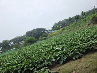 박명광님의 자유주제 · 자유게시판 작성글 사진