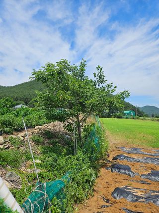 이상진님의 자유주제 · 자유게시판 작성글 사진