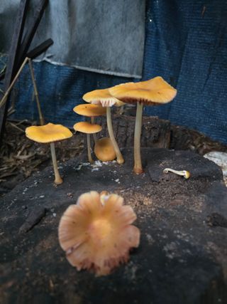 김성환님의 자유주제 · 자유게시판 작성글 사진