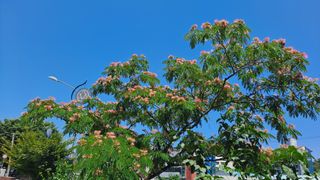 MSG0074님의 자유주제 · 자유게시판 작성글 사진