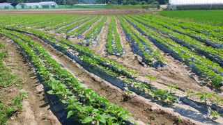 강원도 횡성군님의 자유주제 · 자유게시판 작성글 사진