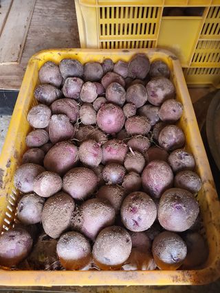 명한님의 자유주제 · 자유게시판 작성글 사진