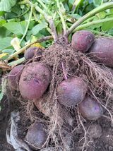 팜모닝 자유주제·자유게시판 게시글 이미지