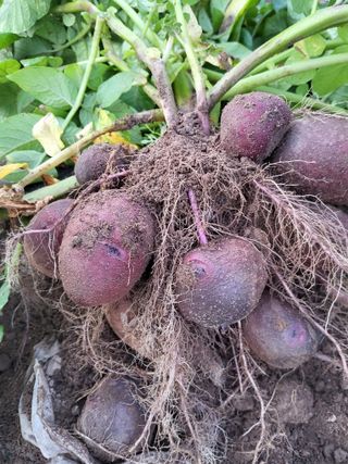 명한님의 자유주제 · 자유게시판 작성글 사진