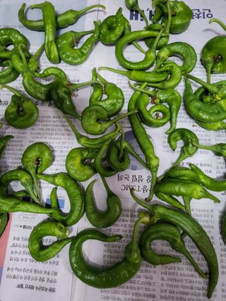 혜기농원(놀이터)님의 자유주제 · 자유게시판 작성글 사진