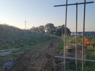 황금알대박농원!님의 자유주제 · 사진전 작성글 사진