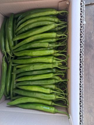 박린님의 자유주제 · 자유게시판 작성글 사진