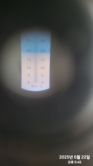 동우농장(김대욱)님의 복숭아 · 자유게시판 작성글 사진