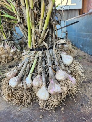 콩8087님의 자유주제 · 자유게시판 작성글 사진