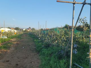 황금알대박농원!님의 자유주제 · 사진전 작성글 사진