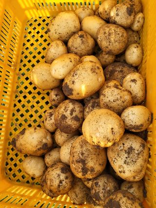 명한님의 자유주제 · 자유게시판 작성글 사진