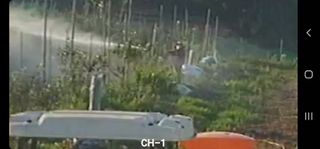 황금알대박농원!님의 자유주제 · 자유게시판 작성글 사진