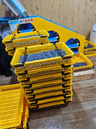 제주 지안이네농장님의 자유주제 · 자유게시판 작성글 사진