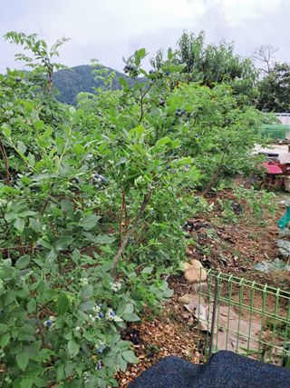 임기석님의 작성글 사진