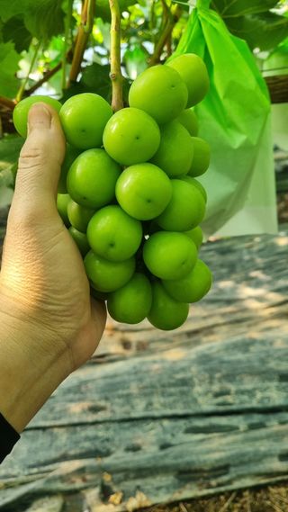 김은수님의 자유주제 · 사진전 작성글 사진