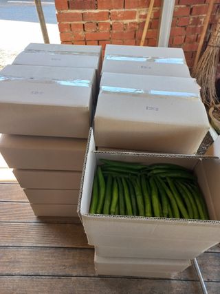 박린님의 자유주제 · 자유게시판 작성글 사진