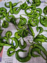 팜모닝 자유주제·자유게시판 게시글 이미지