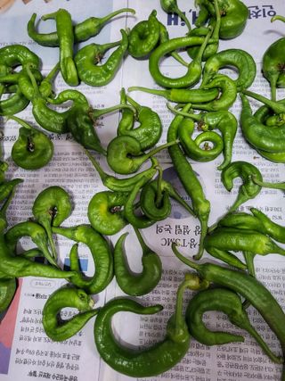 혜기농원(놀이터)님의 자유주제 · 자유게시판 작성글 사진