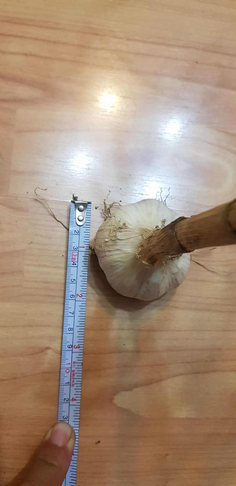 장터 상품 [홍산 마늘] 썸네일