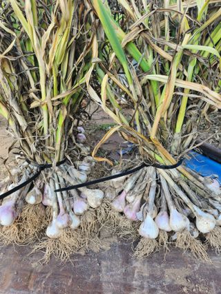 콩8087님의 자유주제 · 자유게시판 작성글 사진