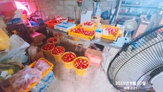 동우농장(김대욱)님의 복숭아 · 자유게시판 작성글 사진