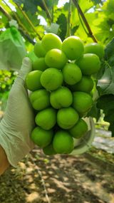 팜모닝 자유주제·사진전 게시글 이미지