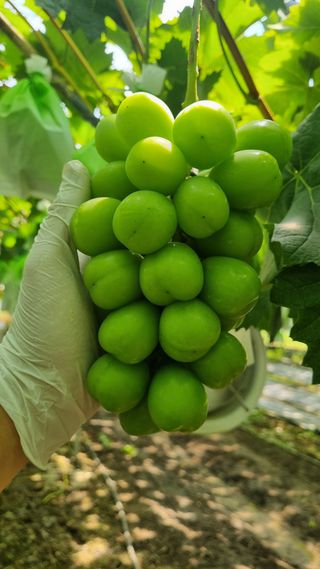 김은수님의 자유주제 · 사진전 작성글 사진