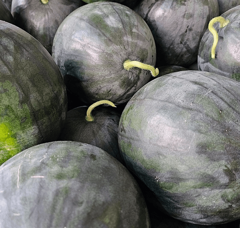 장터 상품 [고당도 흑수박] 썸네일