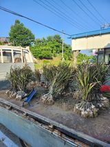 팜모닝 자유주제·자유게시판 게시글 이미지