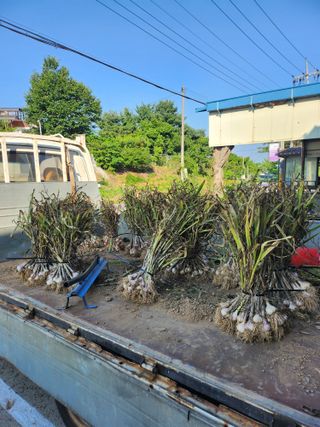 콩8087님의 자유주제 · 자유게시판 작성글 사진