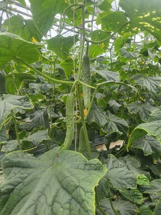 김둘점님의 작성글 사진