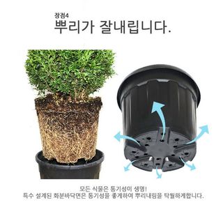 이선미님의 작성글 사진
