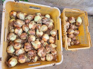 콩8087님의 자유주제 · 자유게시판 작성글 사진