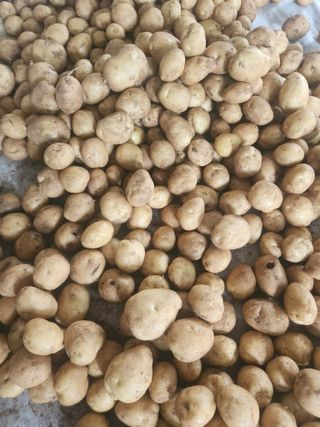 선우농장님의 자유주제 · 자유게시판 작성글 사진