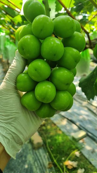 김은수님의 자유주제 · 사진전 작성글 사진