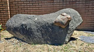 MSG0074님의 자유주제 · 자유게시판 작성글 사진